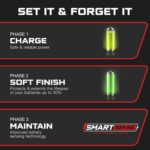 FORM 36 Volt Golf Cart Battery Charger for EZGO TXT Golf Carts with D-Style Plug - 36V 18AMP Lead Acid Battery Charger - Waterproof Design - Image 5